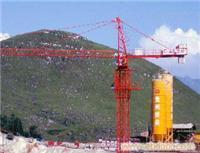 貴陽塔吊出租服務(wù)——重慶中建機械制造（貴州、云南片區(qū)）專業(yè)塔機租賃